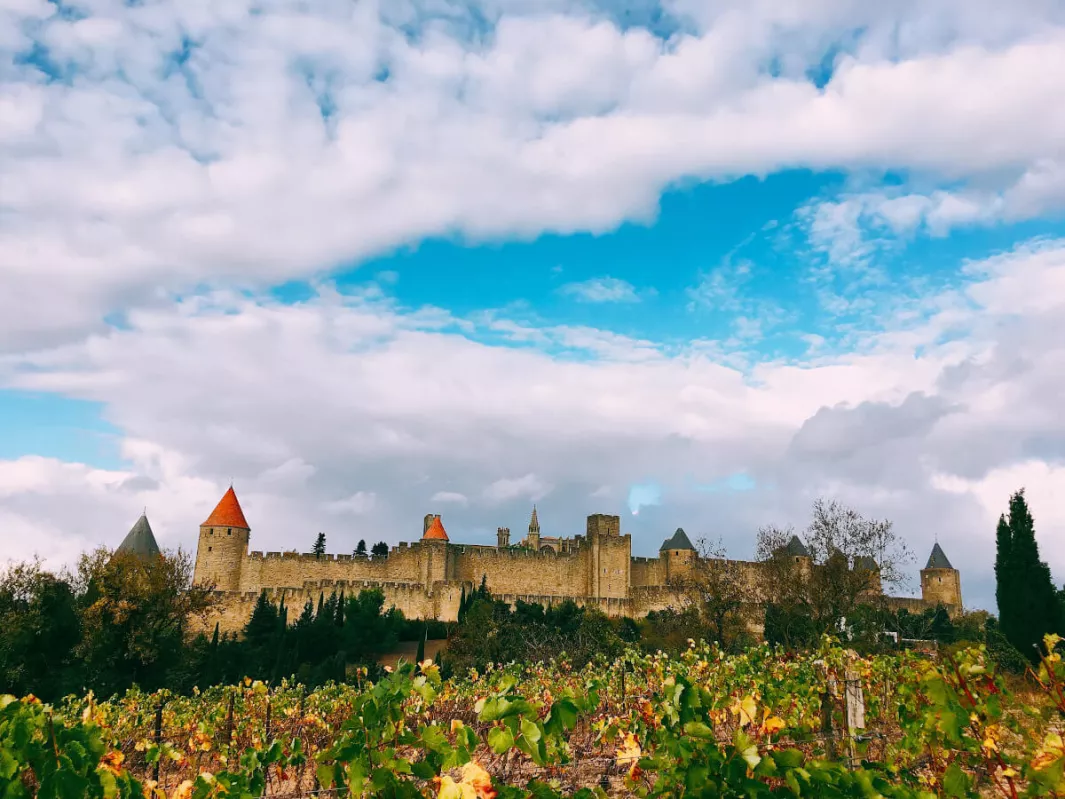 Carcassonne_Weinlagen_Cité