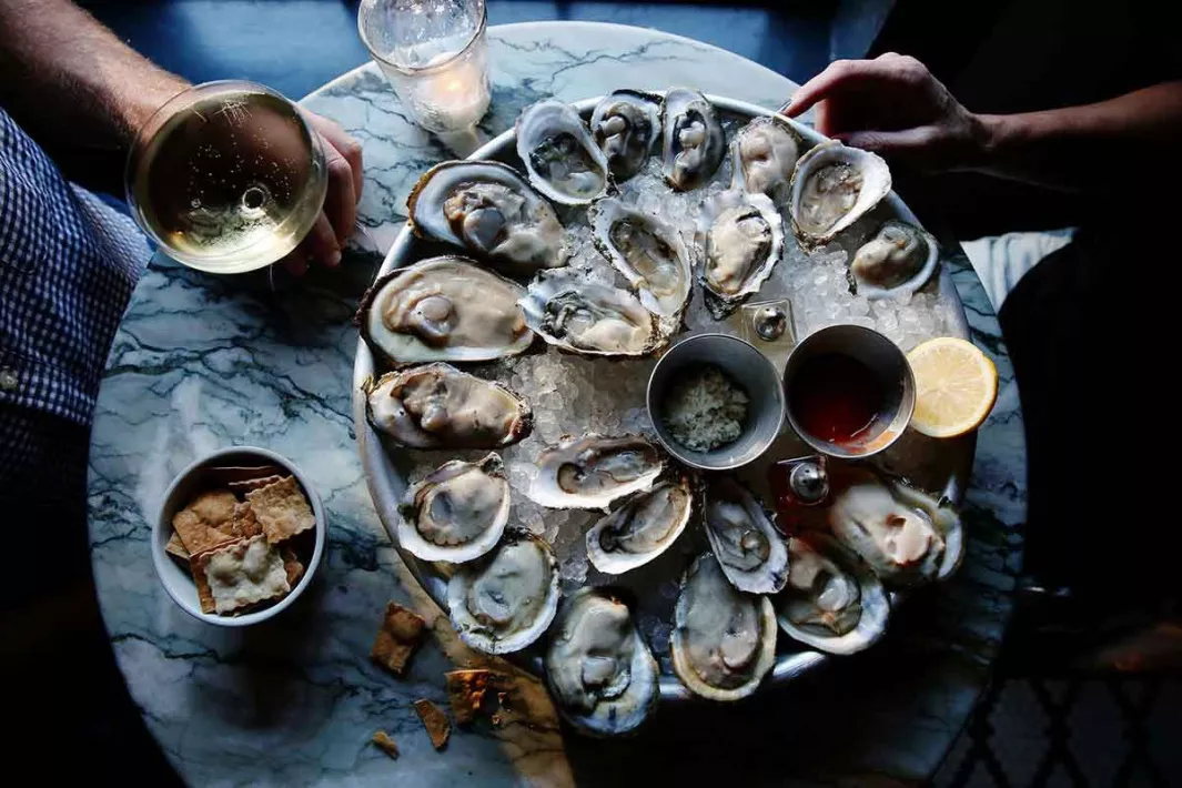 oysters