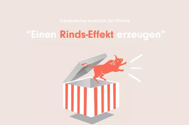 Einen Rinds-Effekt