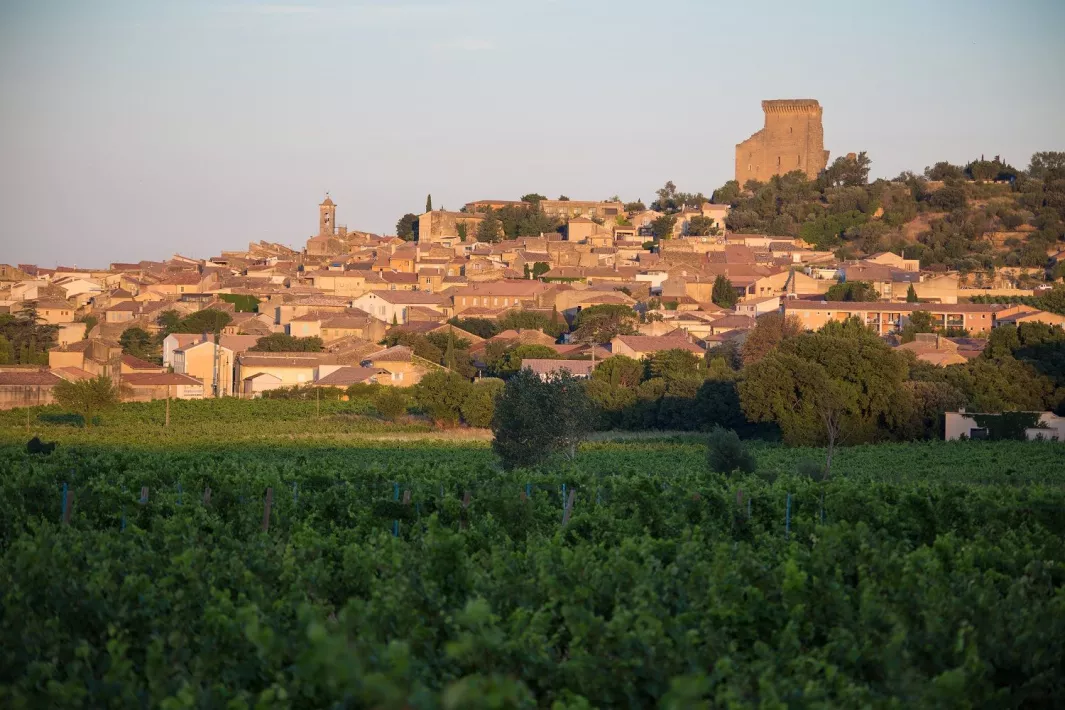 chateau_neuf_du_pape_VILLE