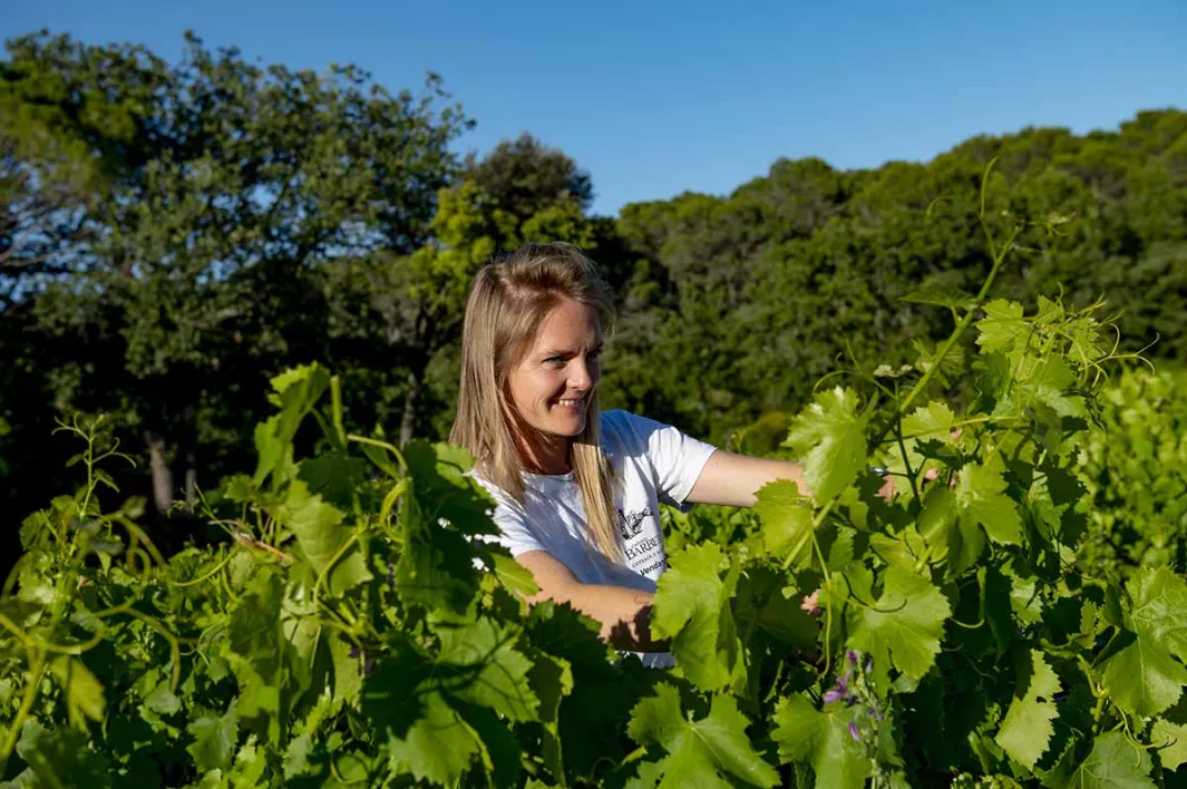 Provence: Life through rose-tinted glasses at the domaine de Barbebelle 