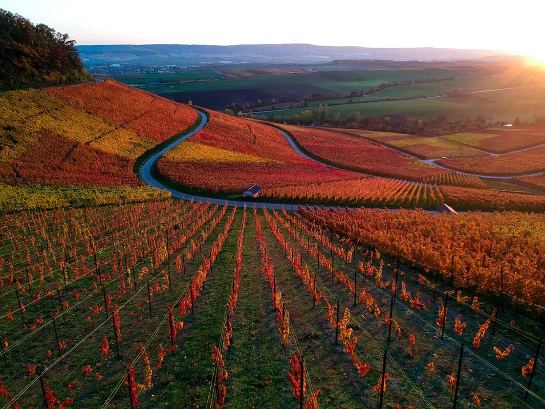 6 Under-the-Radar Wine Appellations to Visit This Fall