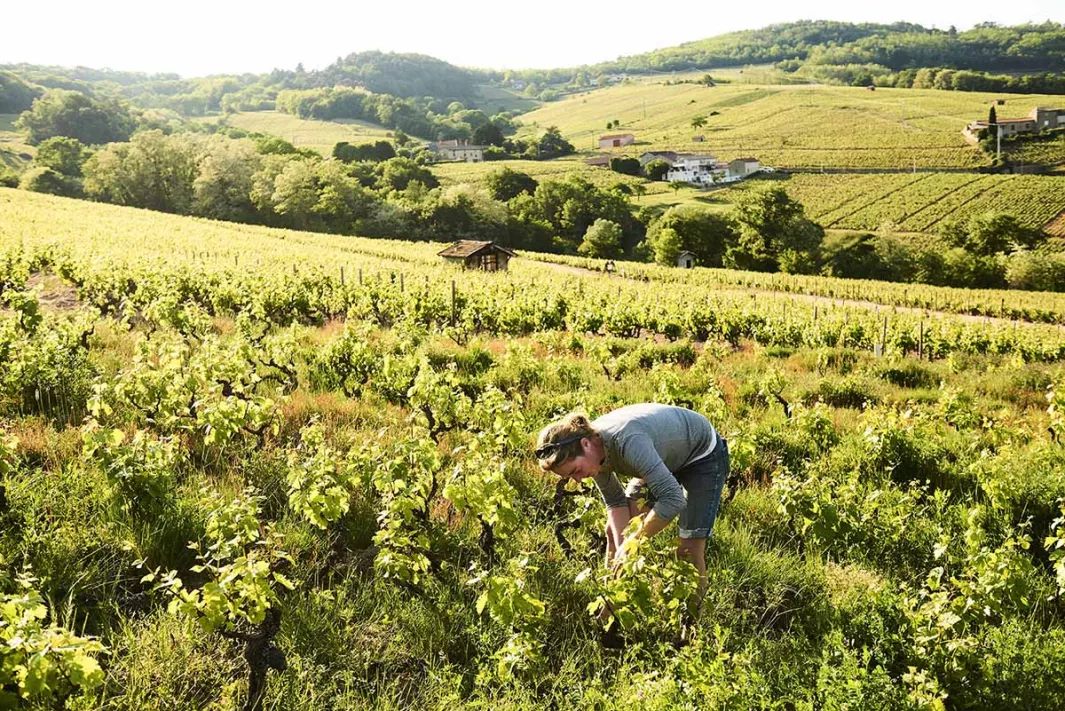 Julie Balagny, the Beaujolais successor 