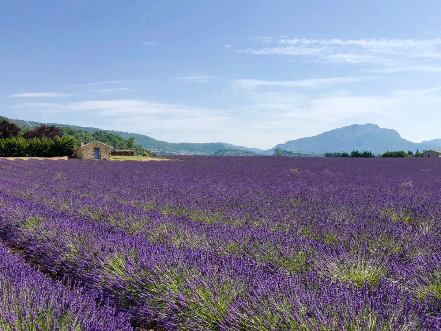 Provence