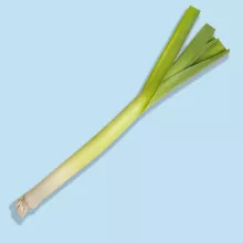 French leek