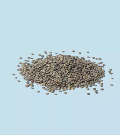 Puy Lentils (PDO) 