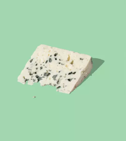 A slice of Roquefort cheese