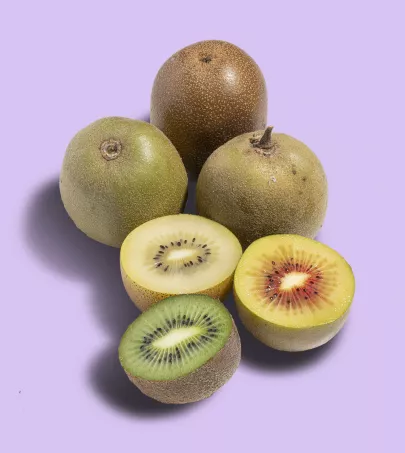 TFM_Essential_french kiwis