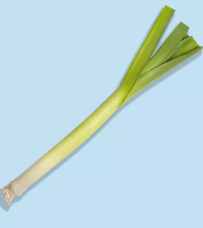 French leek