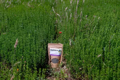 Herbes de Provences