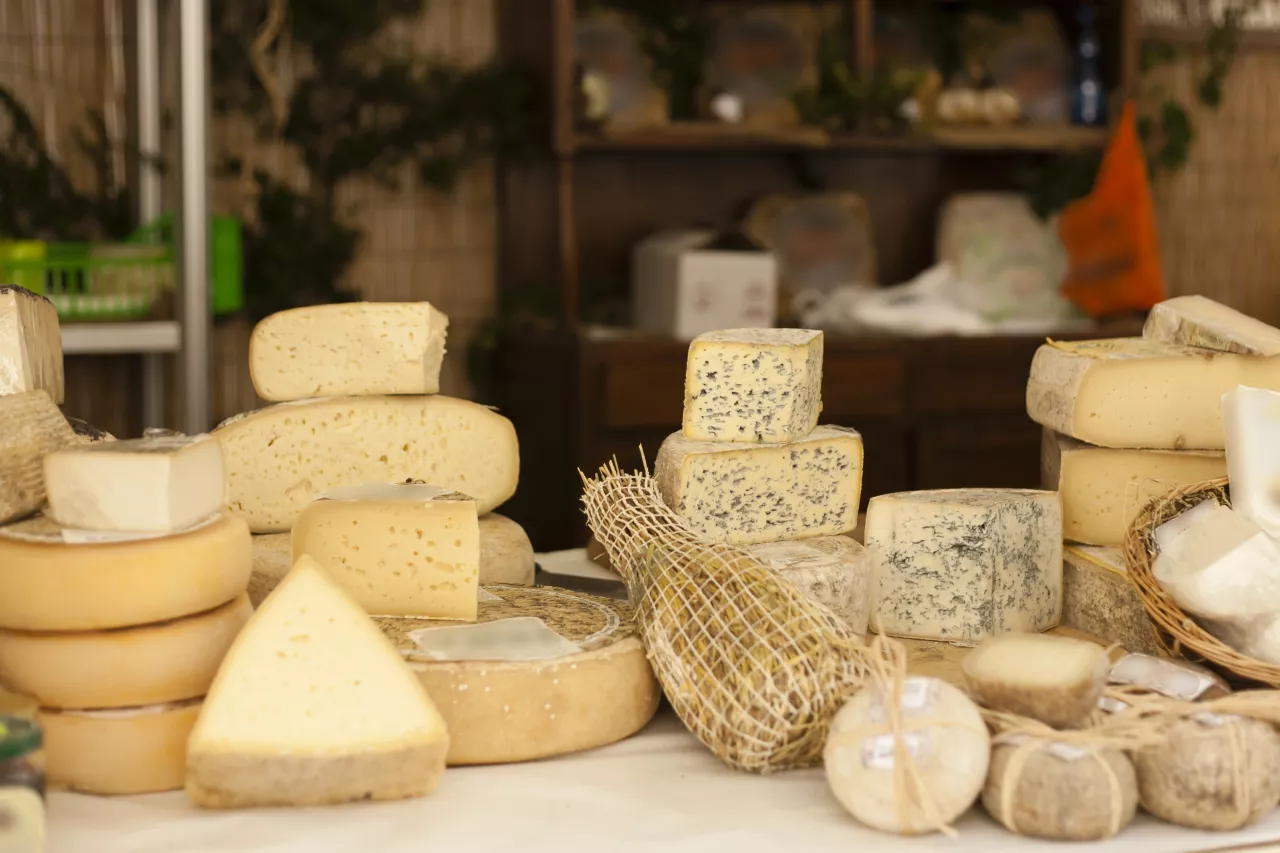 French cheeses guide photo