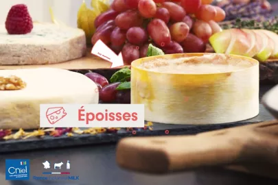 DE-VIDEO-Tasting-CNIEL-epoisses