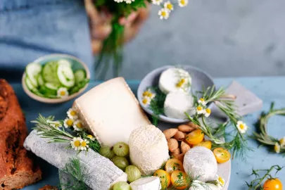 Ziegenkäse aus Frankreich